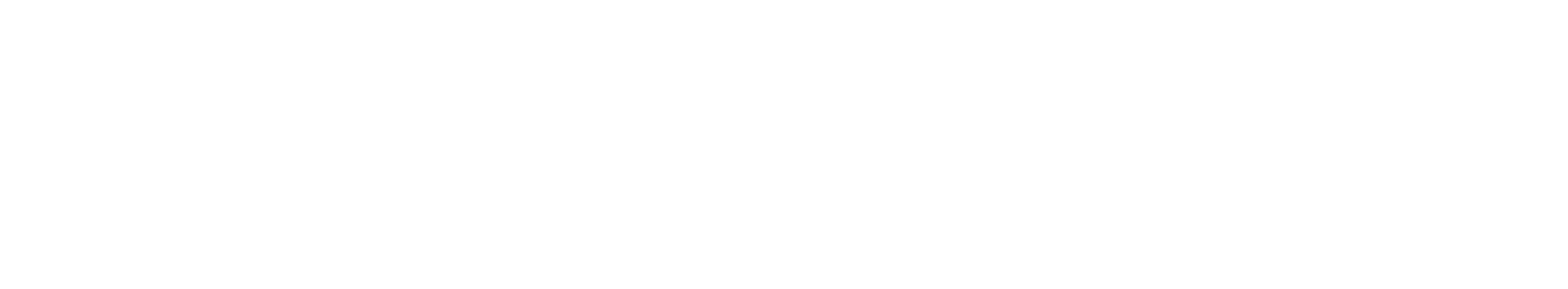 Ruoff Mortgage Logo White