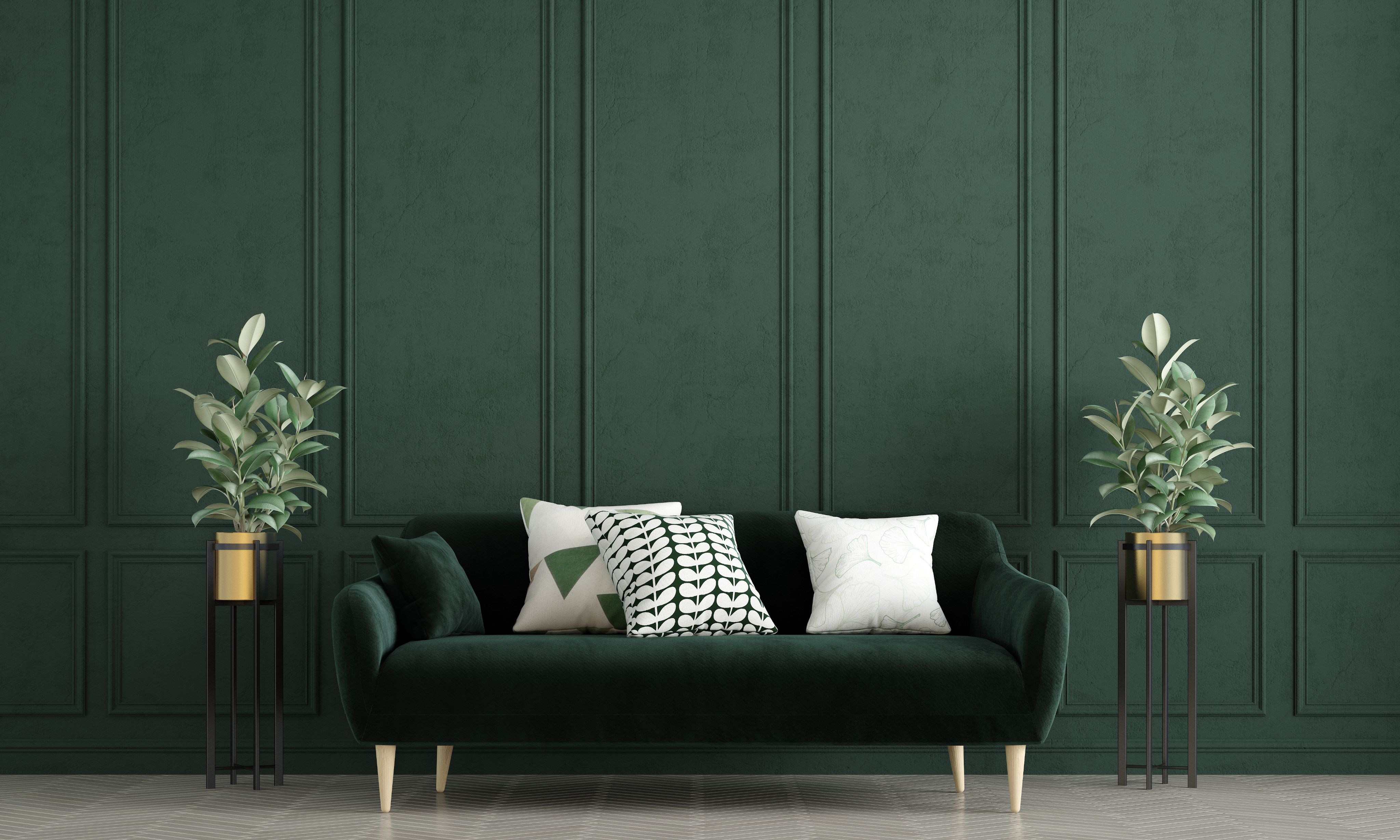 Background Image with a decorative green wall inside a house, a couch, and two plants on each side of the couch.