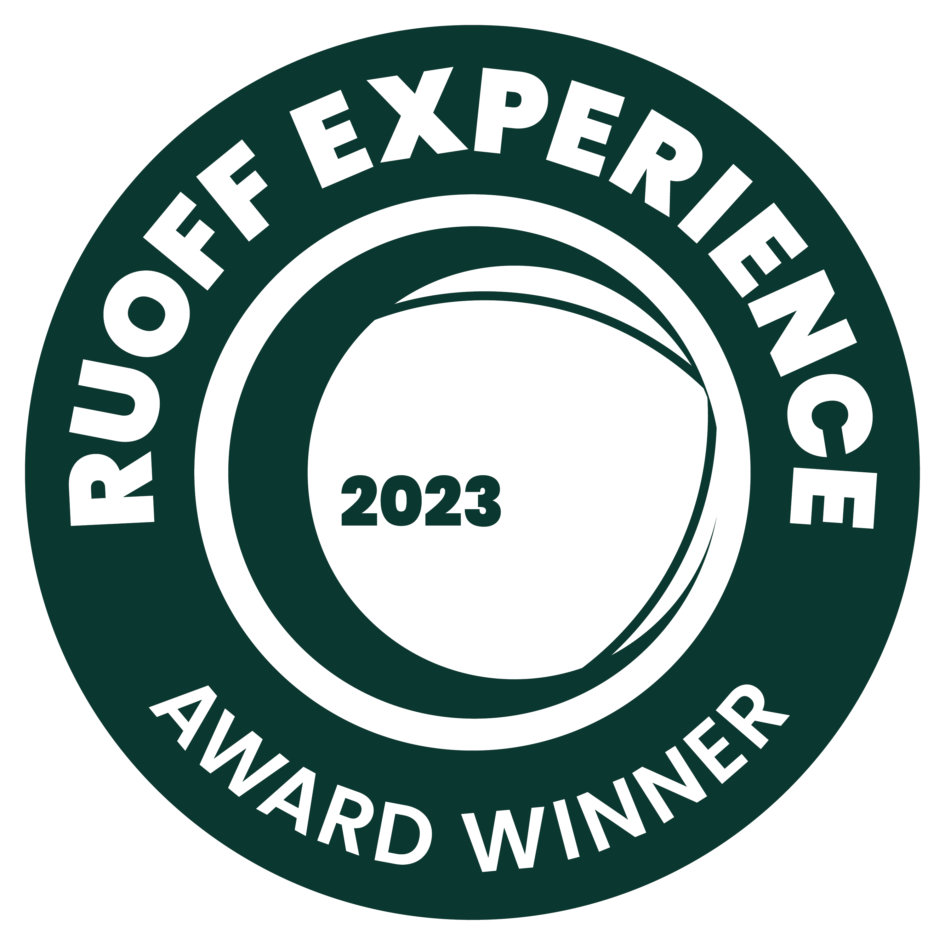 Customer Experience Award