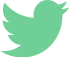 Twitter Icon